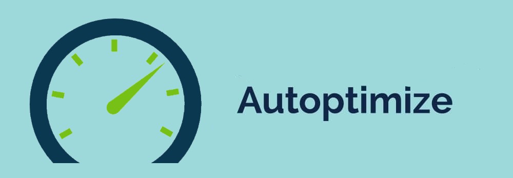 autoptimize