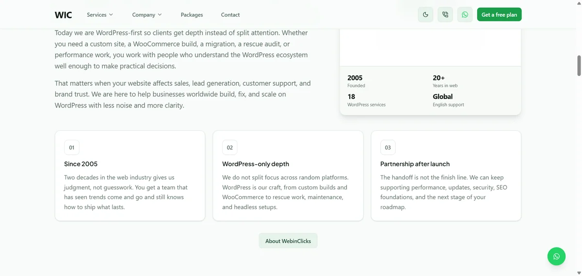 WebInClicks Screenshot 2